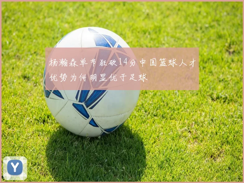 杨瀚森单节狂砍14分中国篮球人才优势为何明显优于足球