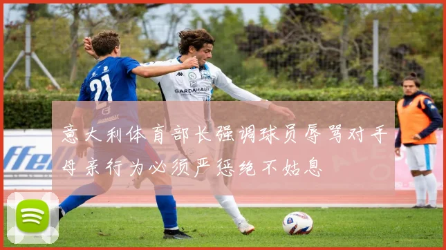 意大利体育部长强调球员辱骂对手母亲行为必须严惩绝不姑息