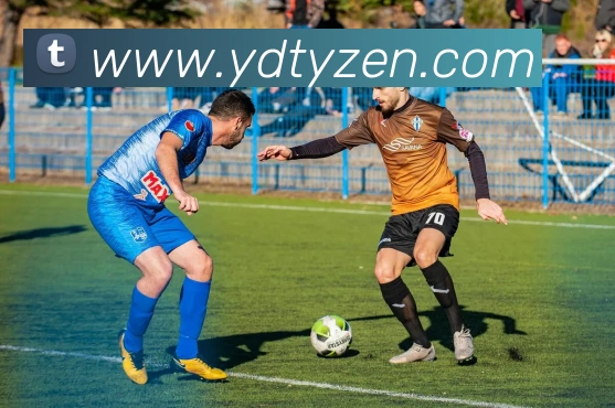 App Interface Preview